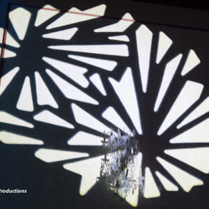 A shadow of a flower on a wall at a bat mitzvah.