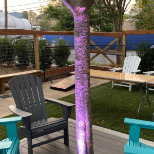 A tree is lit up with a purple light.