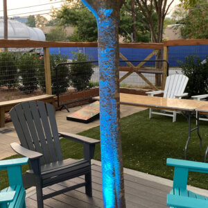 A tree is lit up with a blue light.